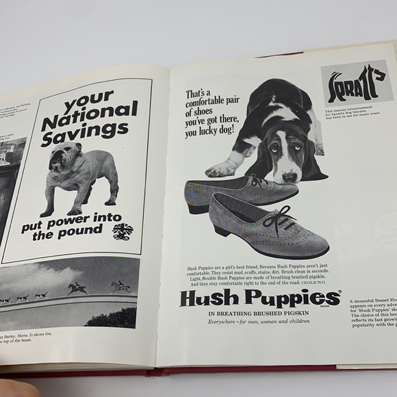 The World of Dogs Book By Wendy Boorer 1970s - Picture 10 of 17